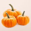 Πρωτεΐνη Κολοκύθας 60% Βιολογική  (Pumpkin Protein 60%, Οrganic) - Food