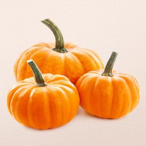 Πρωτεΐνη Κολοκύθας 60% Βιολογική  (Pumpkin Protein 60%, Οrganic) - Food