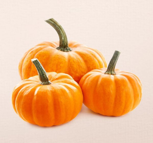 Πρωτεΐνη Κολοκύθας 60% Βιολογική  (Pumpkin Protein 60%, Οrganic) - Food