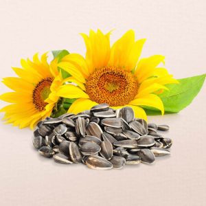 Πρωτεΐνη Ηλιόσπορου 55% Βιολογική (Sunflower/Heliaflor 55% Protein, Organic) - Food