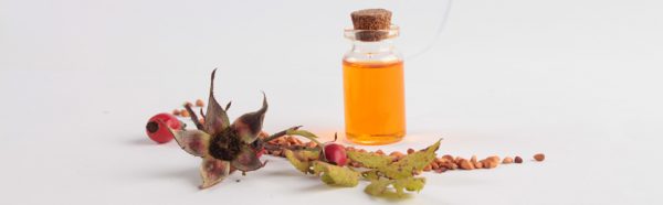 Άγριο τριαντάφυλλο Βιολογικό (Rosehip Kernel Oil CO2 Extraction, Organic)