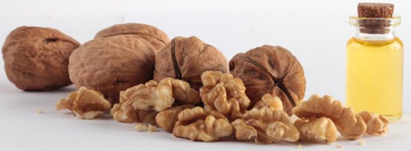 Καρυδέλαιο Βιολογικό Έλαιο (Walnut Oil Cold Pressed, Organic) - Food & Cosmetic