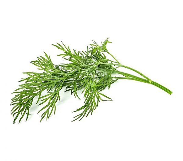 Άνηθος Αιθέριο Έλαιο (Dill Seed Oil) - Food & Cosmetic