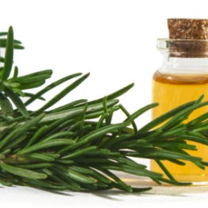 Βιολογικό Εκχύλισμα Δενδρολίβανο (Rosemary Extract 60, Oganic) - Food & Cosmetic