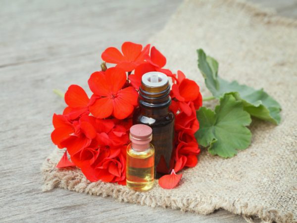 Γεράνι Βιολογικό Αιθέριο Έλαιο (Geranium Oil Organic) - Food & Cosmetic