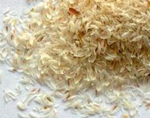 Ψιλλίου Φλοιός 99% Σε Σκόνη (Psyllium Husks 99%) - Food