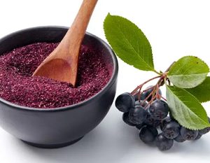 Αρώνια Αποξηραμένη Σκόνη Βιολογική (Aronia Powder Dried Organic)