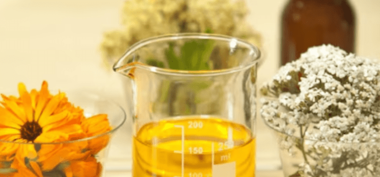 DIY Aromatherapy: ενισχύστε την ενυδατική σας κρέμα με χαμομήλι και τριαντάφυλλο